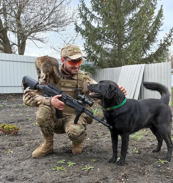 Ukrainian army warrior with domestic animals cat and dog, which was abandoned because of war conditions