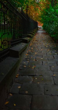 Autumn September paved European street in Lviv Ukraine with falling leaves on the floor, vertical photo