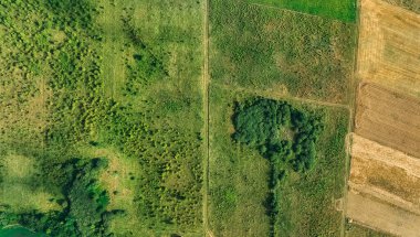 aerial valley field scenic shape geometry view of green grass and trees, background textures concept photo