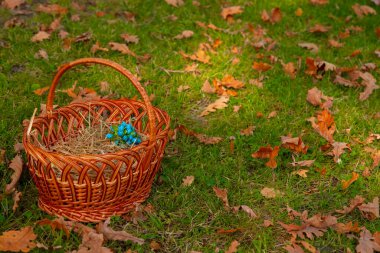 wicker basket folk craft vintage object of Ukrainian culture, autumn colorful aesthetic environment space
