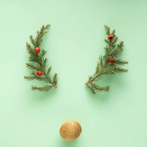 Jelenie Poroże Gałęzi Iglastych Nosa Jako Dekoracja Świąteczna Pastelowym Zielonym — Zdjęcie stockowe