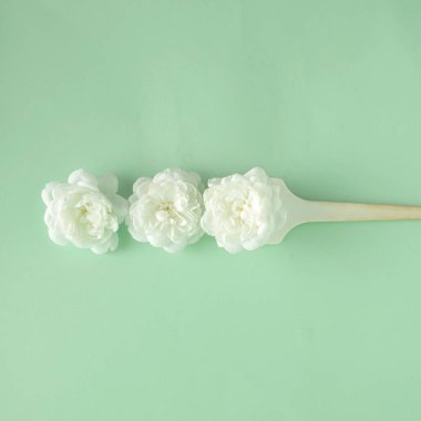 Pastel yeşil arka planda üç beyaz gül ile saç fırçası.