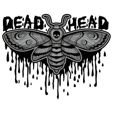 Ölüm Şahin Başlı Güve ve Kafatası