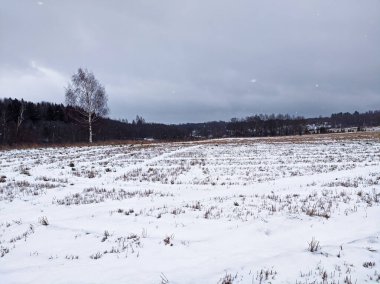 Bulutlu bir günde ufuktaki ilk beyaz kar ve karanlık ormanla kaplı bir arazi. Kış doğa manzarası. 