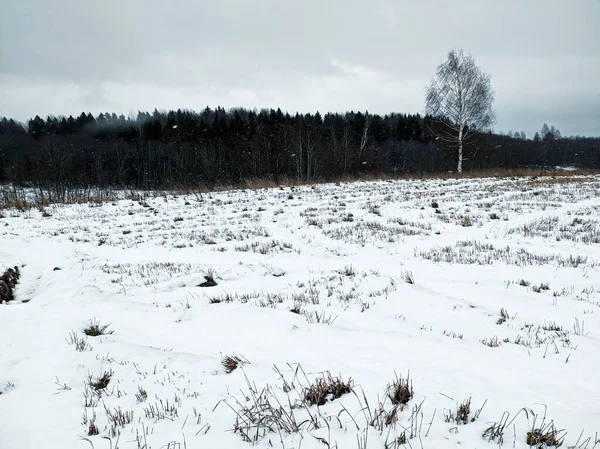 Zimní Krajina Přírody Pole Pokryté Prvním Bílým Sněhem Lesem Obzoru — Stock fotografie