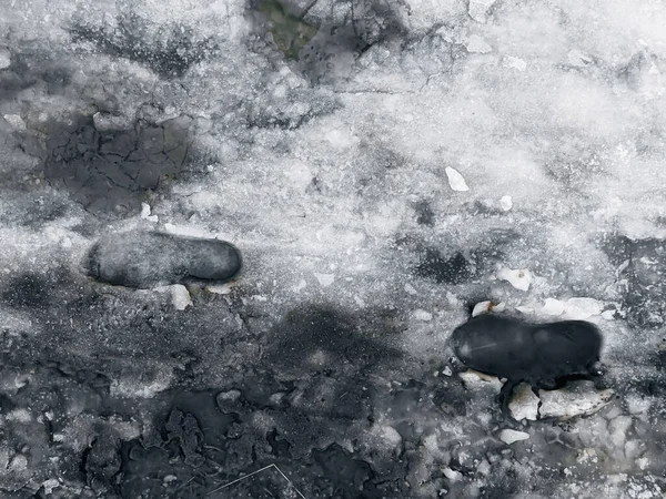 雪の融解に足跡 汚れた雪の上の靴の足跡 足の跡と泥だらけの雪の質感 要旨融雪背景 — ストック写真