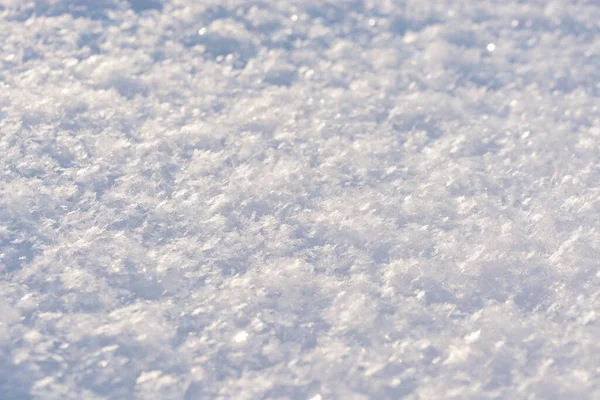 新鮮な白い光沢のある雪が閉じます クリスタルスノーマクロ写真 雪の背景 — ストック写真