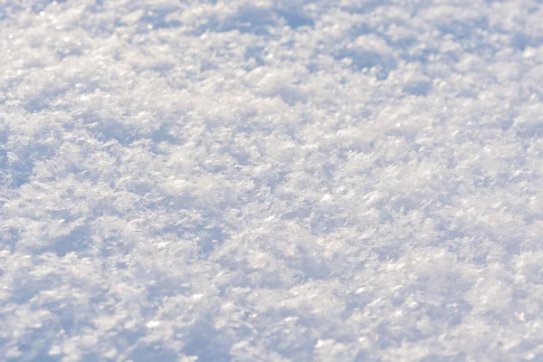 新鮮な白い雪が閉じます 晴れた冬の日に雪が輝く クリスタルスノーマクロ写真 雪の背景 — ストック写真