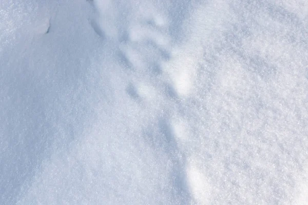 Fondo Nieve Blanca Textura Nieve Fresca Brillante —  Fotos de Stock