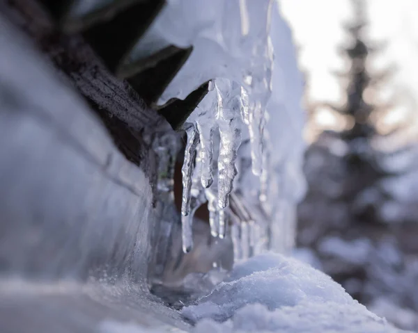 Istappar Hänger Tak Och Snö Nära Håll — Stockfoto