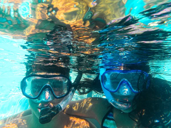 여름철에는 이형성되어 수영장에서 잠수하는 — 스톡 사진