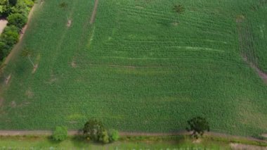 Alan ve Hasat - URUBICI, Santa Catarina