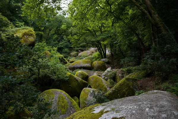 Widok Las Huelgoat Finistere Bretanii — Zdjęcie stockowe