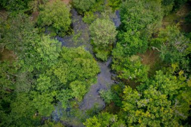 Seine et Marne 'deki Bourron Marlotte kasabasındaki peri göletinin havadan görünüşü.