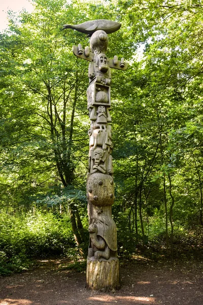 Październik 2021 Wincennes Francja Widok Rzeźby Pniu Drzewa Lesie Vincennes — Zdjęcie stockowe