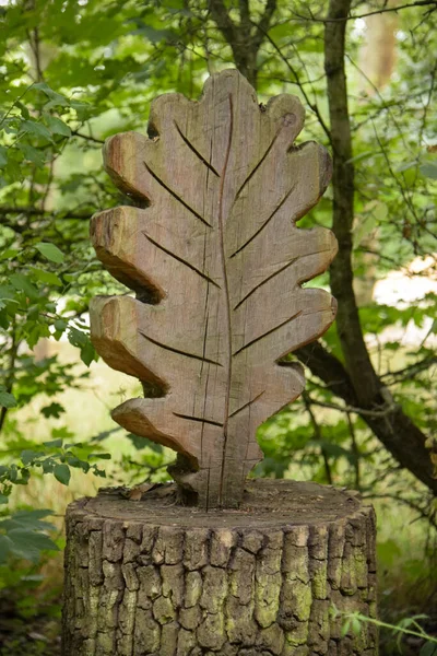 10月2021 Vincennes フランス フランスのヴィンセンヌの木の木の幹に彫刻のビュー — ストック写真
