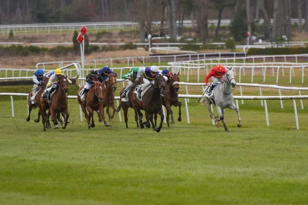 View Horse Race France — Stock Photo, Image