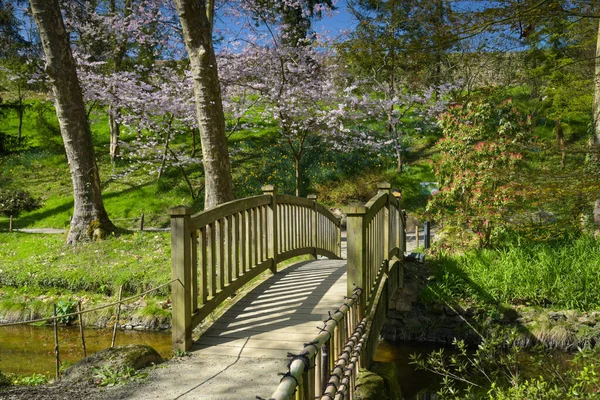 Beautiful Wooden Bridge Oriental Park Maulevrier — Stock Photo, Image