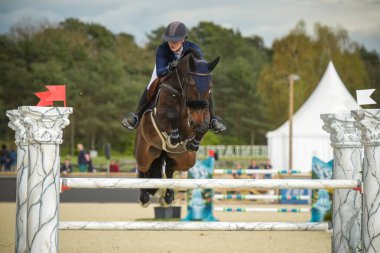 view on an equestrian show jumping competition in the city of Fontainebleau
