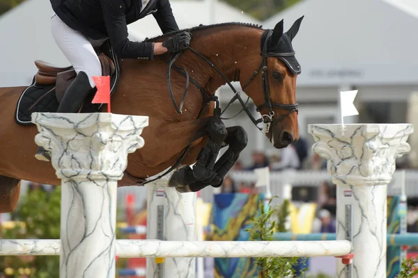 Blick Auf Ein Springreitturnier Fontainebleau — Stockfoto