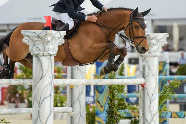 Blick Auf Ein Springreitturnier Fontainebleau — Stockfoto