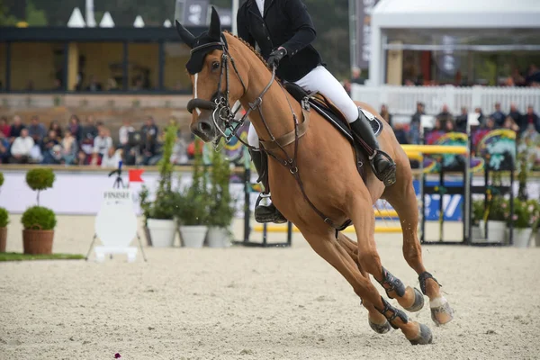 Vista Uma Competição Salto Show Equestre Cidade Fontainebleau — Fotografia de Stock