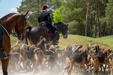 Fontainebleau ormanında av köpekleriyle yapılan bir gösteri