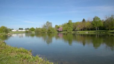 View on an urban natural park with a pond