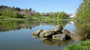 View on an urban natural park with a pond