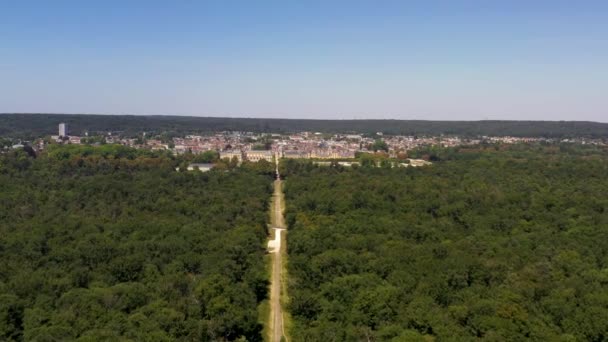 Aerial View Forest Fontainebleau Her Castle — Vídeo de Stock