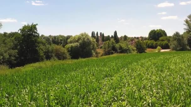 Seine Marne Deki Maincy Köyünün Hava Manzarası — Stok video