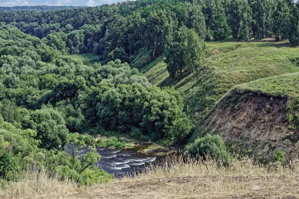 Nehrin dalgalı kıyılarının dik toprak yamaçlarında. Çimenler ve yemyeşil ağaçlar bulutlu ufuktaki tüm alanı kaplıyor. Manzaralı yerler. Tepeden çekilen fotoğraf..