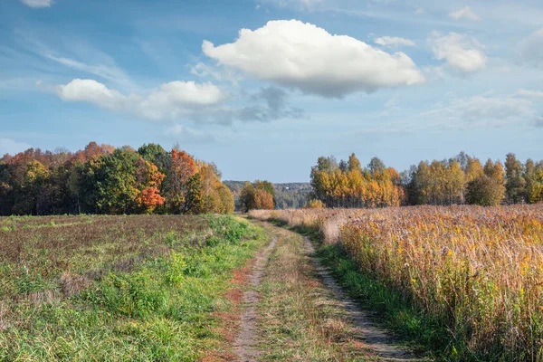 Renkli sonbahar ağaçlarına uzanan bir toprak yolu olan bir kırsal alan..