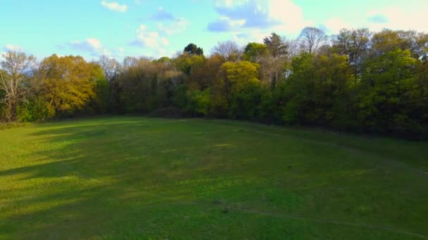 Luchtdrone schot rolt langzaam over een open veld naar bomen, Epping Forest — Stockvideo