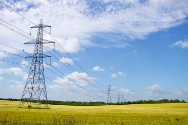 Mavi gökyüzü ile sarı tarlalar üzerinde elektrik direklerinin ve kabloların sırası 