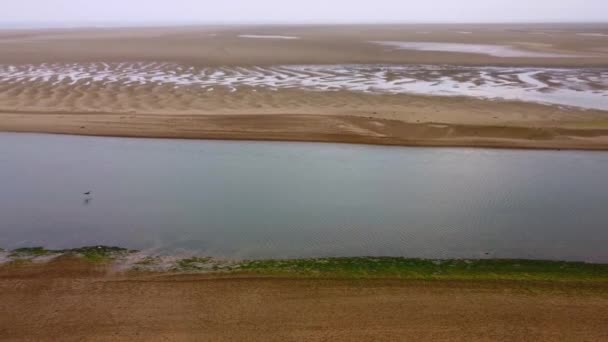 Drone shot van waterstroom en zand met vogel vliegen over, Norfolk — Stockvideo