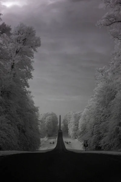 Інфрачервона монохромна фотографія порожньої дороги з вежею, обрамлена деревами — стокове фото