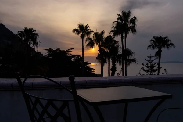 Gulf Naples Evening Cityscape Scene Silhouetted Palm Trees Visible Table — Stock Photo, Image