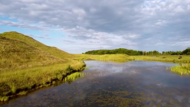 Reflections Water Reeds Northumberlandia Huge Land Sculpture Shape Reclining Female — Stok video