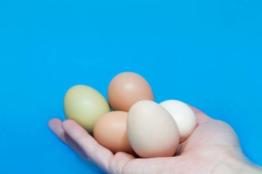 Mavi arka planda farklı renkte yumurtaları tutan el.