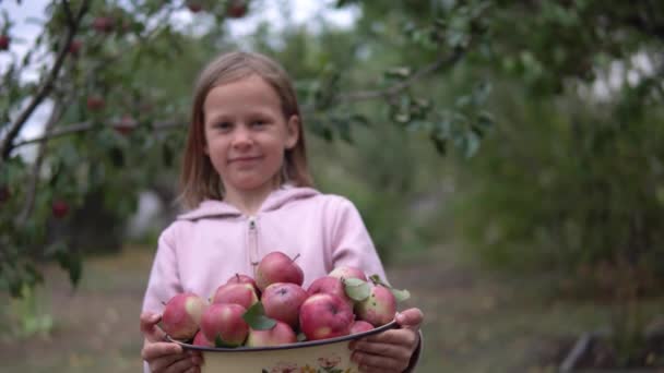 Glückliches Mädchen Das Eine Schüssel Mit Frischen Roten Äpfeln Den — Stockvideo