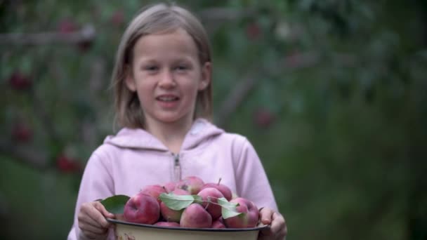 Happy Child Girl Holding Hands Bowl Fresh Red Apples Smiling — Stock Video