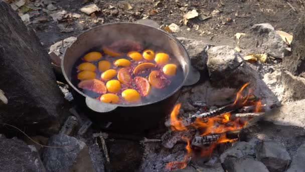 Chaudron Avec Fruit Cuit Est Chauffé Sur Feu Camp — Video