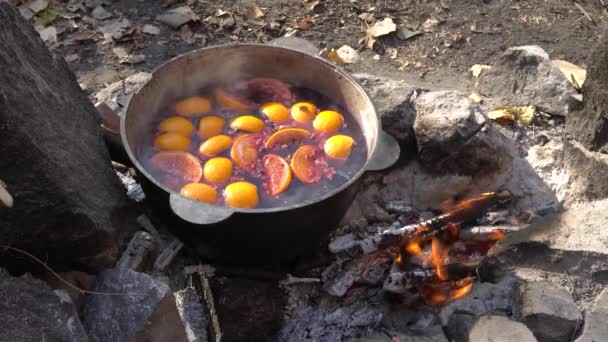 Kessel Mit Geschmorten Früchten Wird Lagerfeuer Auf Dem Campingplatz Angeheizt — Stockvideo