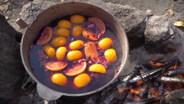 Cauldron Stewed Fruit Heated Bonfire Campsite — Stock Video