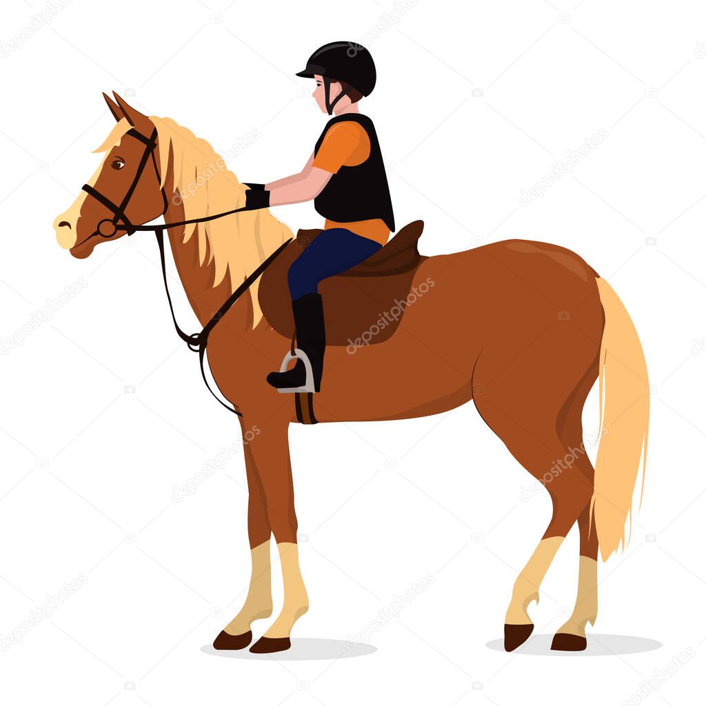 vector illustration on the theme of riding. A boy in a helmet and a protective vest is sitting on a horse. Isolated on a white background