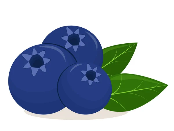 Vector Illustration Blueberry Berries Leaves Isolated White Background —  Vetores de Stock