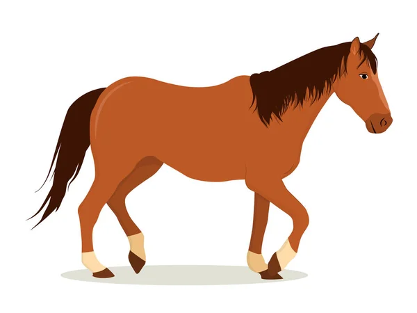 Vector Illustration Brown Horse Dark Mane Isolated White Background — 图库矢量图片