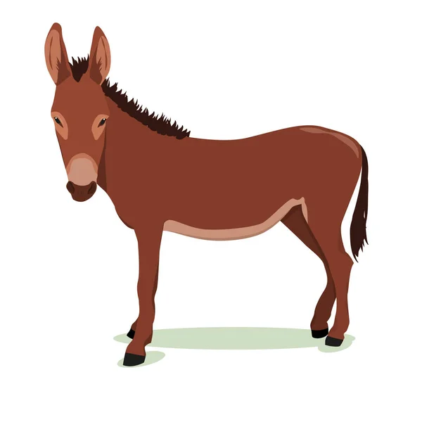 Vector Illustration Brown Donkey Isolated White Background — Stock Vector