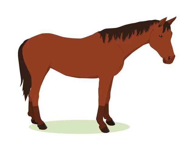 Vector Illustration Brown Horse Dark Mane Isolated White Background — 图库矢量图片